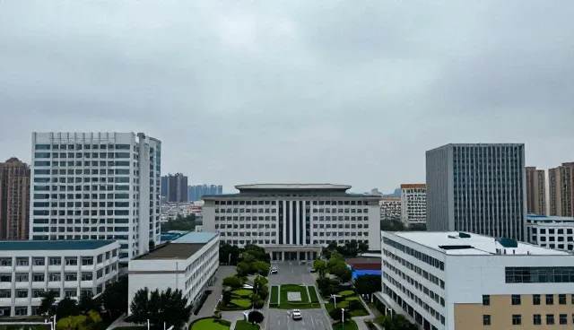 企业运营效率提升中的品牌咨询实践